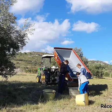 公寓 La Forgeolie Causses-et-Veyran