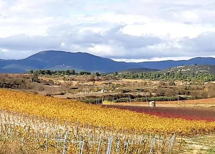 La Forgeolie * Causses-et-Veyran