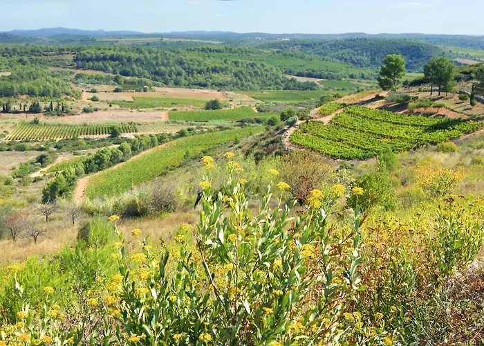 La Forgeolie Causses-et-Veyran