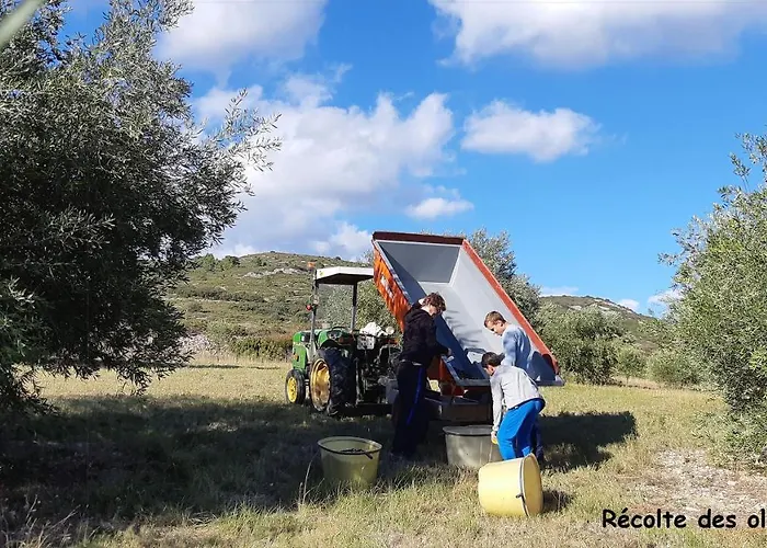 Lägenhet La Forgeolie Causses-et-Veyran